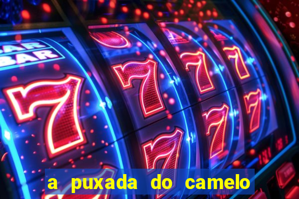 a puxada do camelo no jogo do bicho